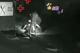 又是警校生！湖北19岁大三学警夜里狂追百余米，一脚绊倒小偷图片