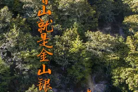 数说宝“藏”·70年巨变｜70万“生态卫士”守护西藏绿水青山图片