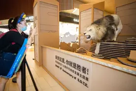 上海这个环保展很有趣：让孩子在通关任务中学会守护地球图片