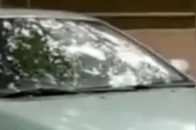 上海一男子辱骂殴打正常采访的记者，被警方刑事拘留视频封面