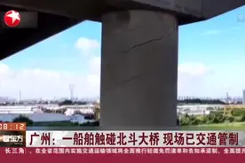 广州：一船舶触碰北斗大桥  现场已交通管制视频封面