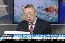 半年狂赚近130亿：京东方A火了 业绩直接暴增逾10倍视频封面