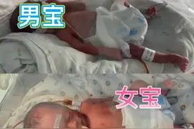 河南一产妇第三胎生下龙凤四胞胎，取名前程似锦，妈妈：当时就懵了图片
