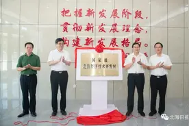 国家级北海经济技术开发区正式揭牌图片