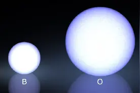 最热星的冷知识图片
