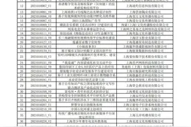 产业·公示｜2021年上海市促进文化创意产业发展财政扶持资金拟支持项目名单出炉，欢迎查看图片