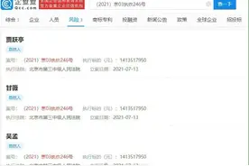 贾跃亭、甘薇被强制执行超14亿图片