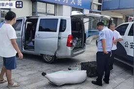 涉嫌违法！江西一小面包车私运野生动物多达500斤图片
