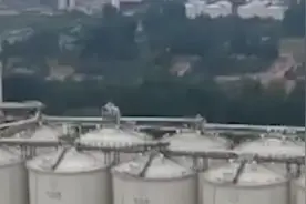 中储粮启动最大规模建仓项目视频封面