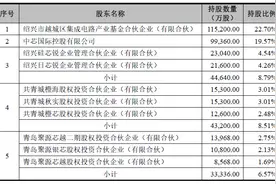 绍兴中芯启动IPO 最“隐秘”的天使投资人浮出图片