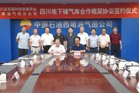 四川将推进组建首个地下储气库运营公司图片