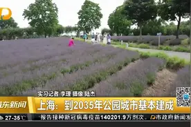 上海：到2035年公园城市基本建成视频封面