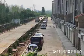 肥城一村庄未经批准占地修路被处罚，正在补办手续图片
