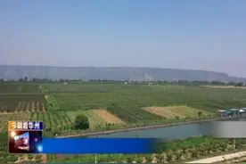 渭南市华州区高塘镇：杏李即将成熟上市 做好准备来尝鲜图片