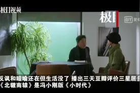 反讽和暗喻还在但生活没了，播出三天豆瓣评价三星居多，《北辙南辕》是冯小刚版《小时代》图片
