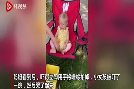 美国一小女孩抓起蟾蜍放嘴里 妈妈吓得立即拍掉图片