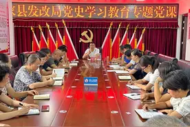 丁勇为发改局党员干部讲党史学习教育专题党课图片