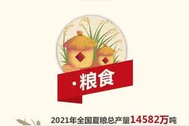 上半年，中国经济怎么样？一张图，2分钟迅速了解→图片