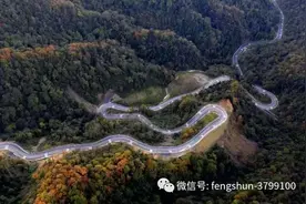 寻乡·觅趣 || 避暑纳凉，那就去枫顺，来一场“寻找江油森林秘境”的旅行！图片