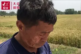 视频丨农民画家毛吉志：画出滩区好日子图片