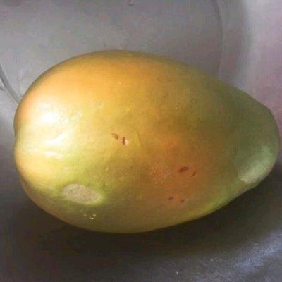 木瓜椰子煲花胶汤 2026年木瓜椰子煲花胶汤的做法 木瓜椰子煲花胶汤 2026年木瓜椰子煲花胶汤的做法