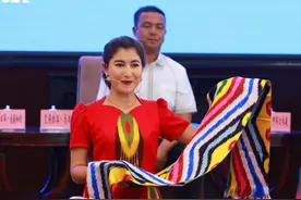 我是小布，我为艾德莱斯代言图片