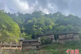 探访雷公山国家级自然保护区：万亩林海绿茫茫图片