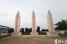 打好种业翻身仗·山东探索创新②|摒弃“拿来主义”，精确培育182个玉米品种图片