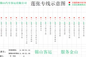 定了！金山将新开一条直达市区公交线，途经金水湖地区，通到地铁莲花路站图片