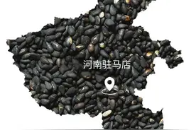 1017优选丨嚼到真芝麻粒的黑芝麻丸 小孩老人都可以吃哦图片