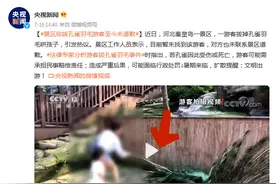 秦皇岛一景区游客拔掉孔雀羽毛哄孩子，景区称其至今未道歉图片