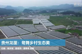 贵州龙里：鹭舞乡村生态美视频封面
