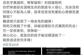 知名女艺人愤怒发声：你们令人恶心图片
