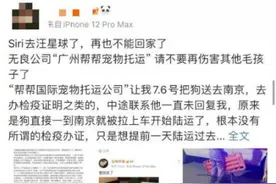 托运公司瞒改托运方式致狗死亡 陈乔恩为金毛siri发声：漠视生命，令人恶心图片