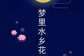 白昼有花，月夜有梦！大湾区最美水乡夜游，就在里水！图片
