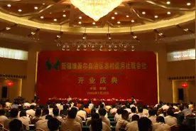 雪莲花开映天山——新疆农村信用社联合社成立十五周年发展纪实图片