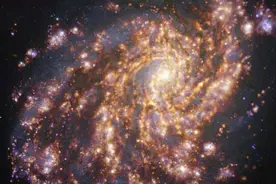 科学家罕见拍到新生恒星在邻近星系中“烟花绽放”图片