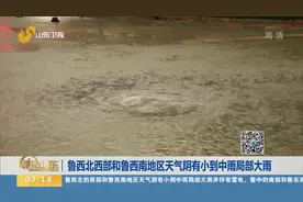 鲁西北西部和鲁西南地区天气阴有小到中雨，局部大雨，并伴有雷电视频封面