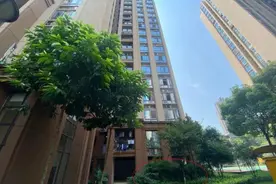 重庆小姐弟坠亡案将开庭，出轨离异父亲涉嫌与女友共谋杀人图片
