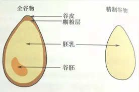 全谷物也要“挑”着吃，这样做身体最买账图片