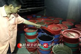 花费万元够买的种虫竟然是害虫 桂林百余农户欲哭无泪图片