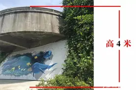 事发宁波！为了救人，他从4米高观景台上跳了下去图片