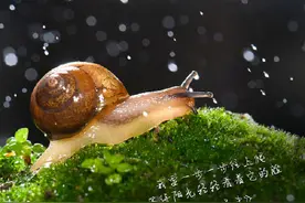 人生很长，愿你一路如歌图片