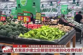 标准再提高，多地升级垃圾处理方案图片
