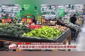 标准再提高，多地升级垃圾处理方案图片