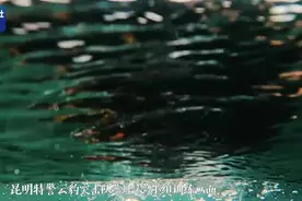 硬核！昆明特警云豹突击队新增蛙人反恐精锐图片
