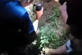 狗狗坠入20米深井，听到鼓励紧紧咬住救援绳视频封面