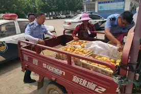 警车变身“运桃车”？图片