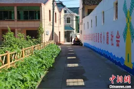 75%劳动力投身建筑行业 看浙江“建筑强村”的共富路图片