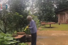 开心到跺脚！孙女偷偷回家，给86岁奶奶一个惊喜图片